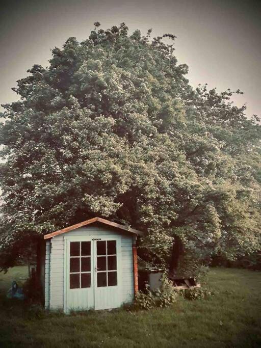 Nature Charm & Fruit Delights, Multi-Generation Celebratory Home -Try, Relax, Repeat - Sellindge Ashford  Exterior foto