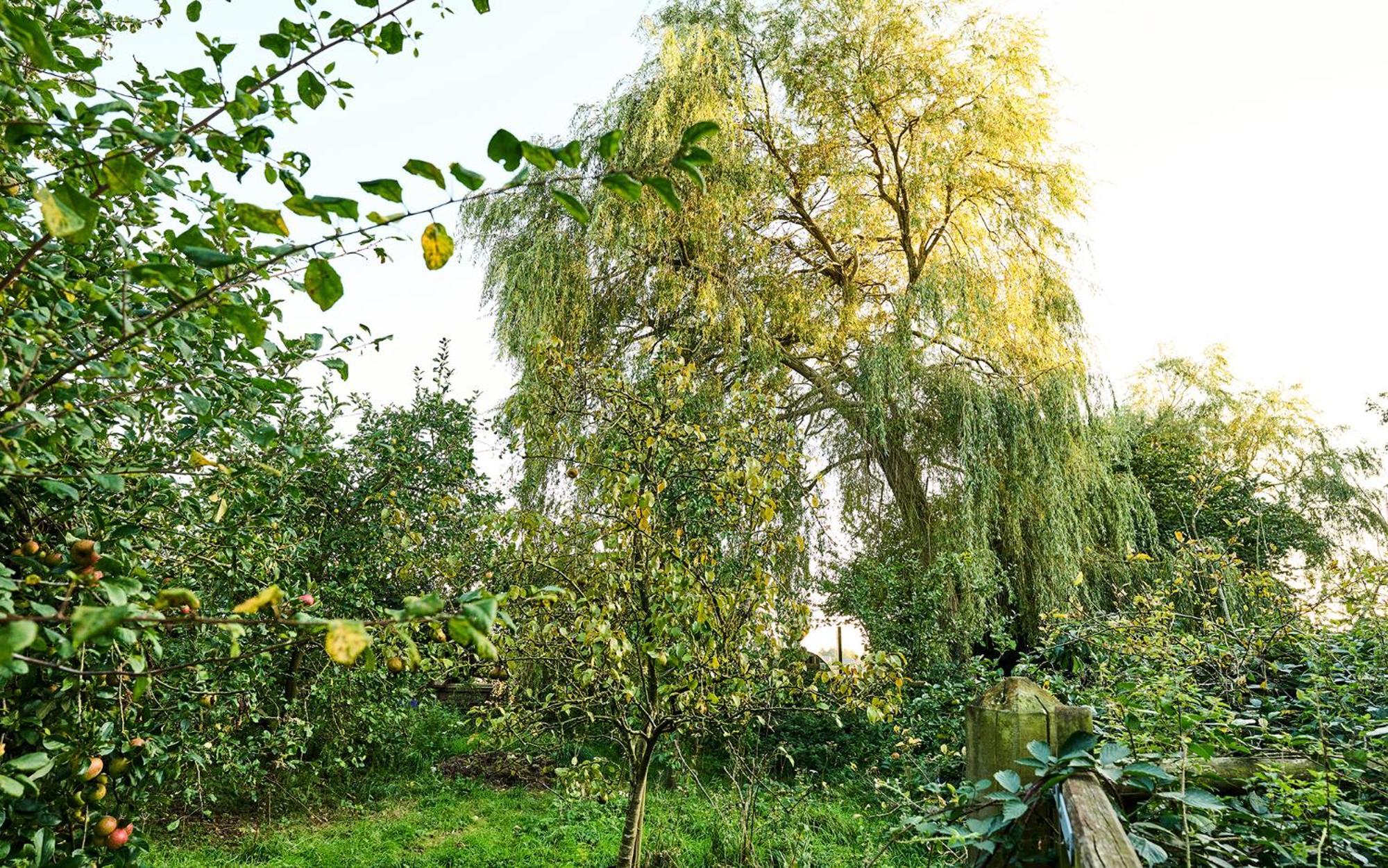 Nature Charm & Fruit Delights, Multi-Generation Celebratory Home -Try, Relax, Repeat - Sellindge Ashford  Exterior foto